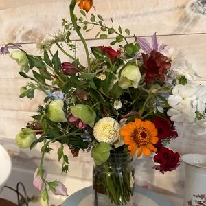 Meet your Posher, Brigitte